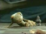 Funny Thai Commercial.jpg